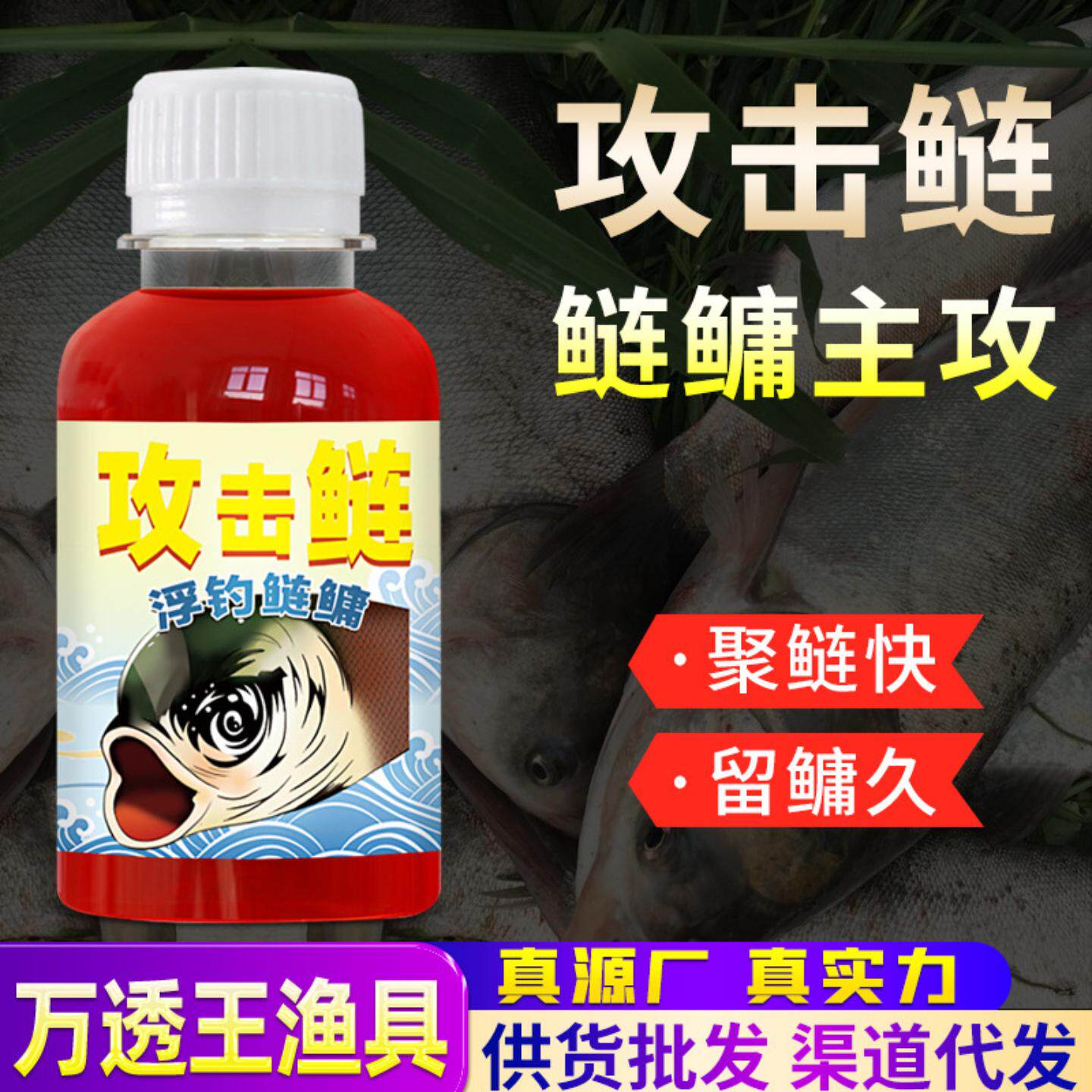 攻击鲢鳙钓鱼小药大头包头花白鲢