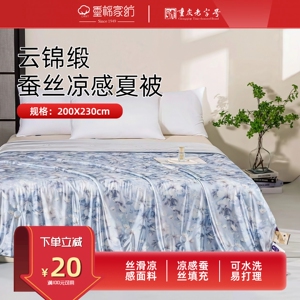 轻奢云锦缎丝滑凉感数码印花蚕丝夏被