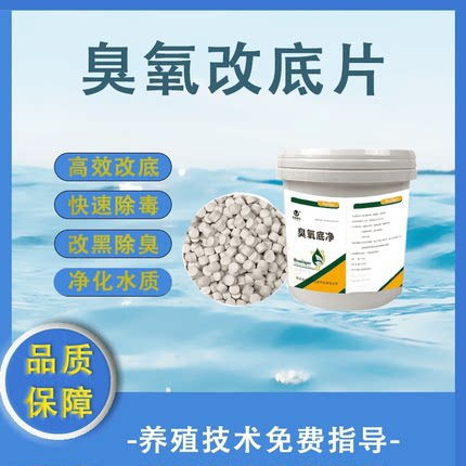 臭氧改底片水产养殖调水除臭改黑净水虾鱼蟹塘分解淤泥底改