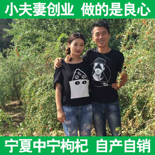 枸杞子宁夏中宁枸杞农家自产500g