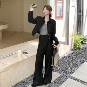 黑色韩范干练气质通勤工装套装裤女2025秋季新款外套阔腿裤两件套，女装套装/套裙，浙宝183