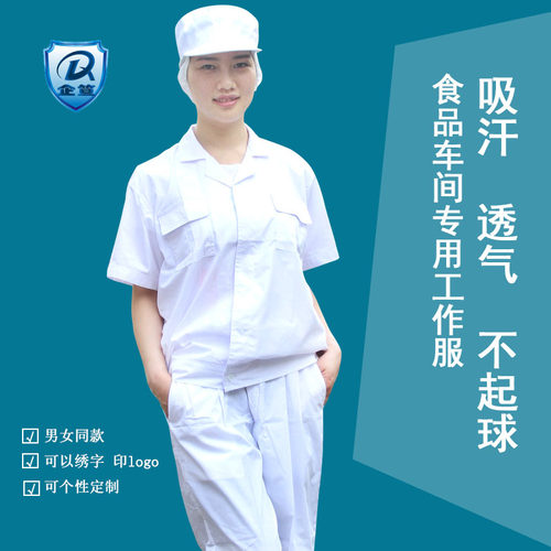 透气吸汗食品工作服棉夏季男女