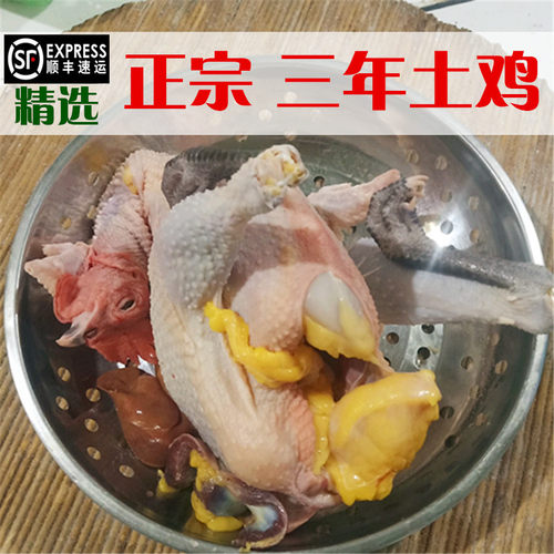 3-5年老母鸡 农家散养正宗土鸡纯黄油笨鸡现杀草鸡月子滋补跑山鸡