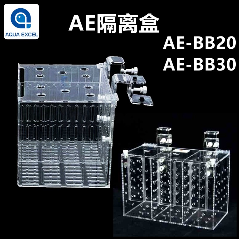 AE隔离盒BB20 30鱼缸亚克力隔离捉鱼器孵化盒检疫隔离淡海水通用