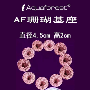 aquaforest紫色森林AF珊瑚基座适合SPS硬骨珊瑚断枝繁殖枝条珊瑚