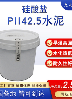 硅酸盐PII42.5水泥国标混凝土砂浆UHPC高强度灌浆修补自流平膨胀