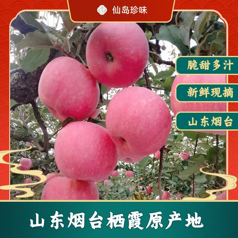 正宗烟台苹果红富士脆甜多汁皮薄糖心应季新鲜水果原产地现摘现发