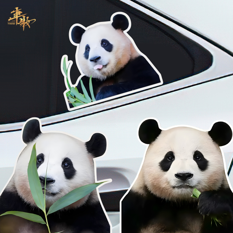 个性创意熊猫福宝周边可爱汽车贴纸划痕遮挡装饰防水卡通创意贴纸