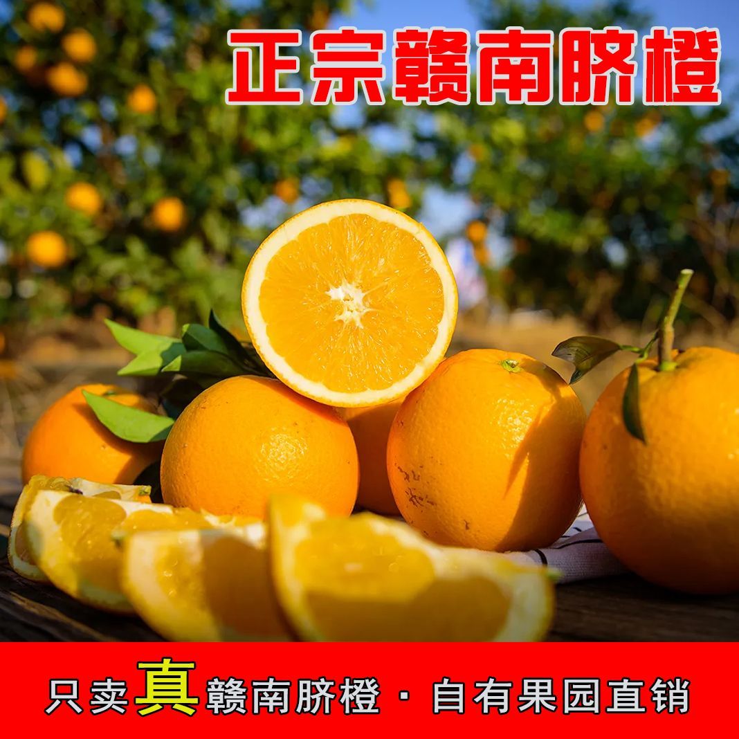 新鲜赣南脐橙时令水果当季整箱礼盒10斤应季正宗江西产地包邮