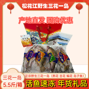 松花江冬捕三花一岛鳌花鱼季花鱼鳊花鱼大白鱼产地直发礼盒