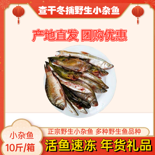 松原查干冬捕冷水杂鱼大杂烩小杂鱼东北产地直发鲜活速冻年货礼盒
