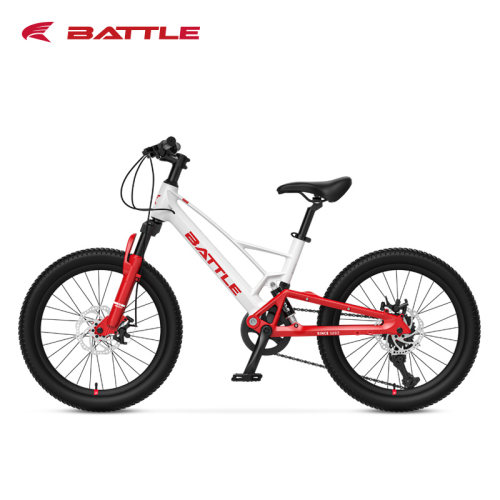 邦德富士达软尾全避震22寸山地车