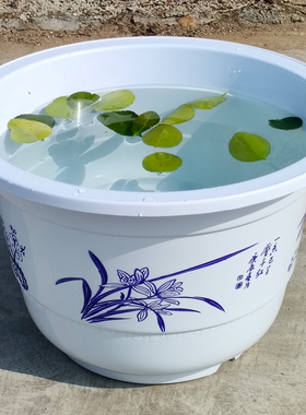 碗莲花盆专用睡莲荷花大号塑料花盆加厚防晒水培无孔种植不漏水小