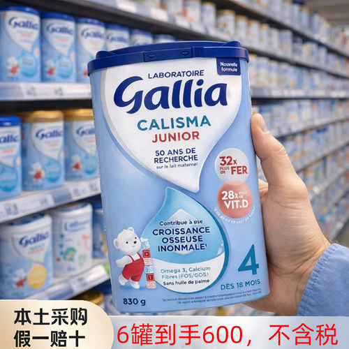 6罐法国佳丽雅4段配方奶粉