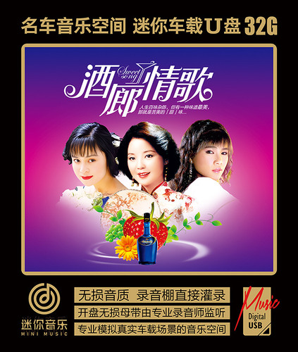 酒廊情歌经典老歌高美胜美酒加咖啡邓丽君韩宝仪龙飘飘wav音乐U盘