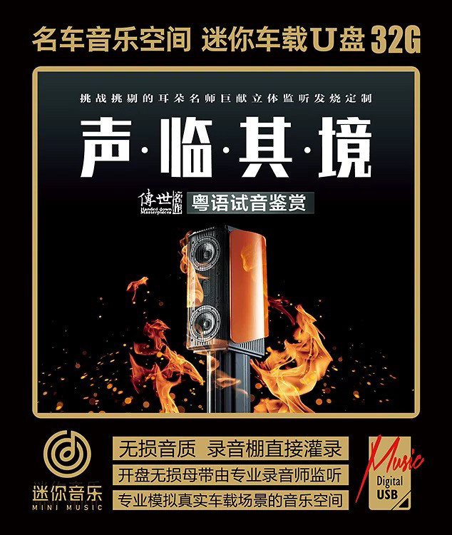 声临其境粤语翻唱歌曲老歌王闻童丽梅小琴刘德丽陈佳车载音乐U盘