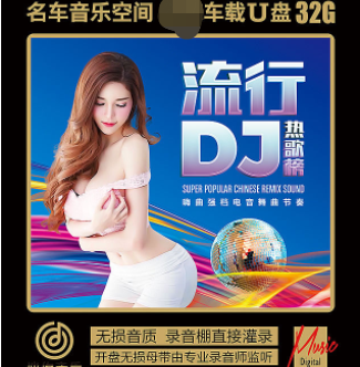 流行慢摇狂欢超嗨DJ劲爆舞曲高速新款大无损经典音乐车载32G优盘