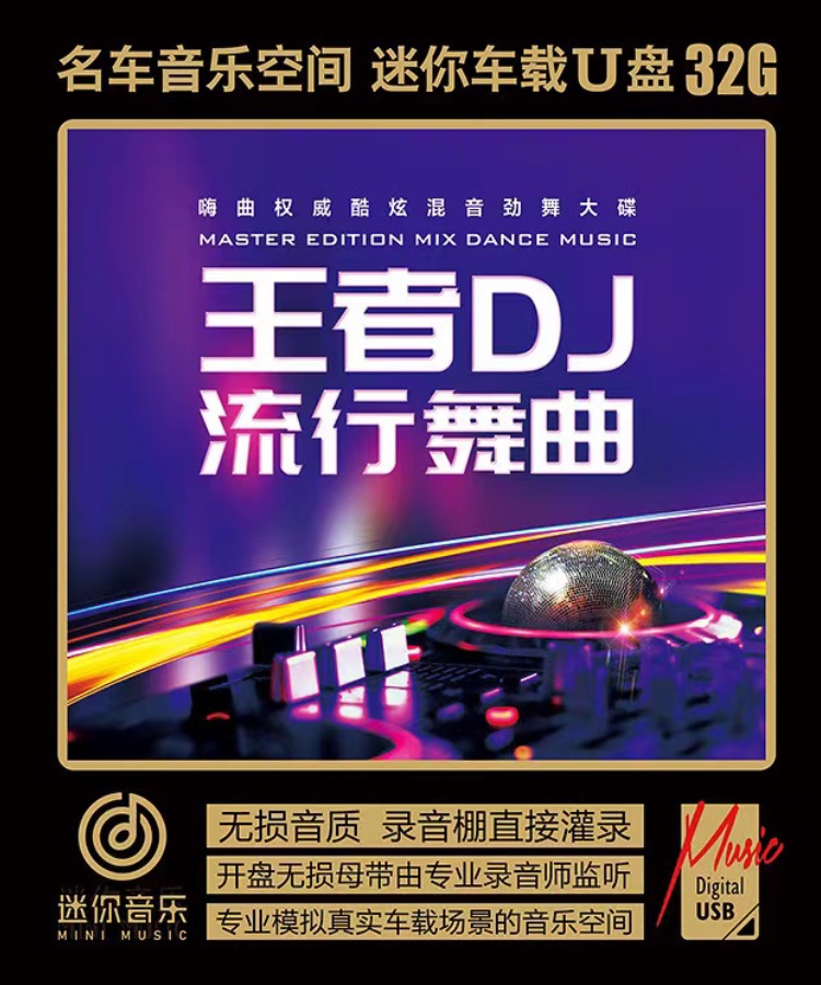 车载U盘无损音质劲爆舞曲流行热歌嗨曲何鹏DJ海来阿木西楼儿女盘