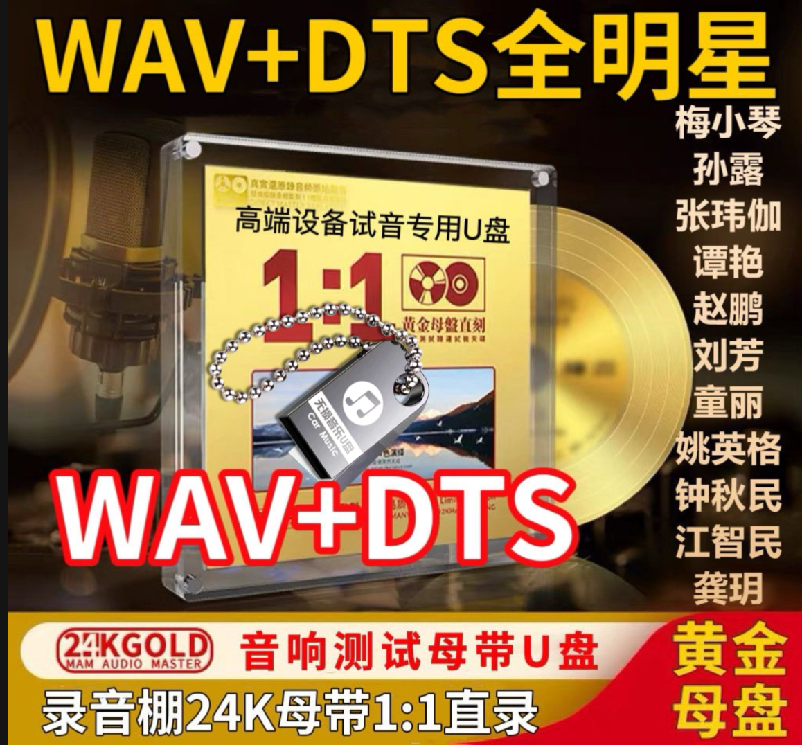 梅小琴张玮伽童丽陈瑞母带hifi发烧人声功放胆机WAV+DTS音乐U盘