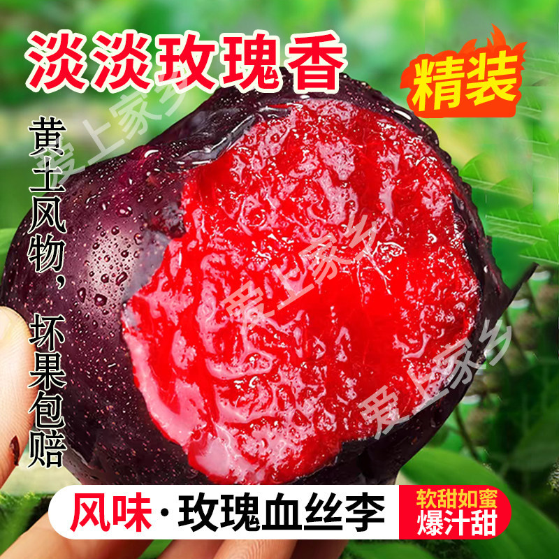 河南应季风味玫瑰血丝李红心李子时令水果黑布林红肉恐龙蛋味帝李