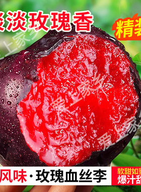 应季水果风味玫瑰红心李子