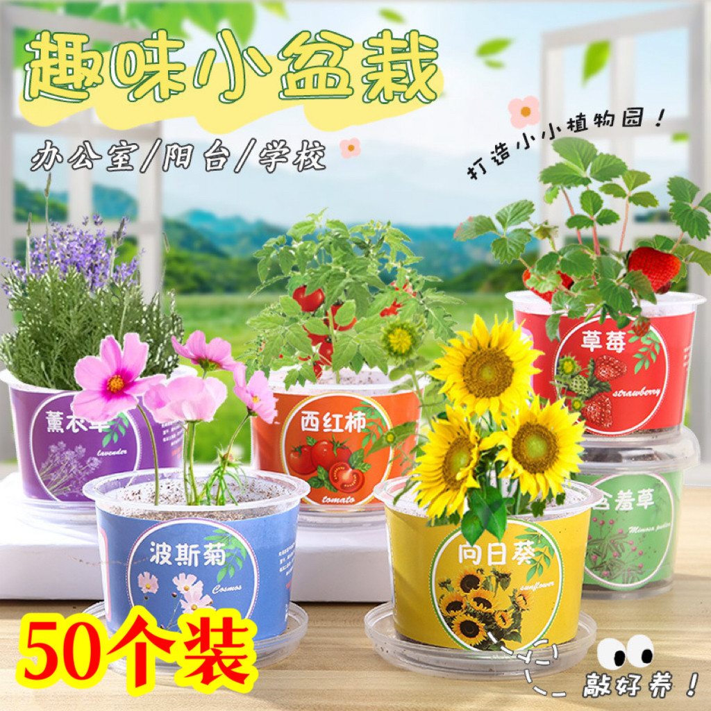 全班活动创意礼物幼儿园