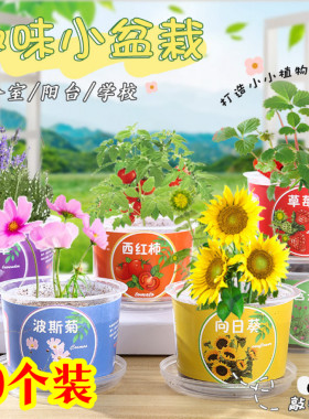 全班活动创意礼物幼儿园