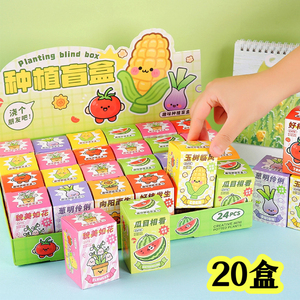 实用儿童DIY种植盲盒小礼品