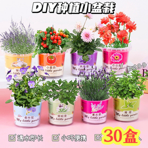 小学生奖品地推活动创意礼物