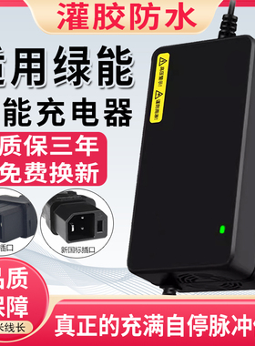 适用绿能电动车充电器48V12AH60V20AH72伏防水铅酸石墨烯快充通用