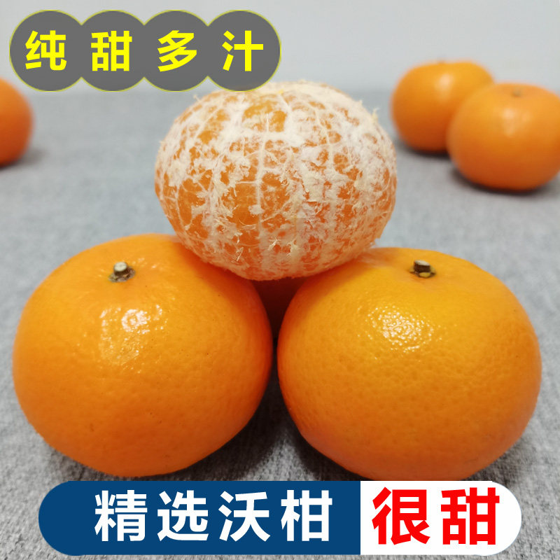 湖南永州特产江永沃柑新鲜水果贵妃柑橘大果应季现摘桔子5斤包邮,水产肉类/新鲜蔬果/熟食,桔子,淘宝优惠券,粉丝福利购,淘宝优惠卷