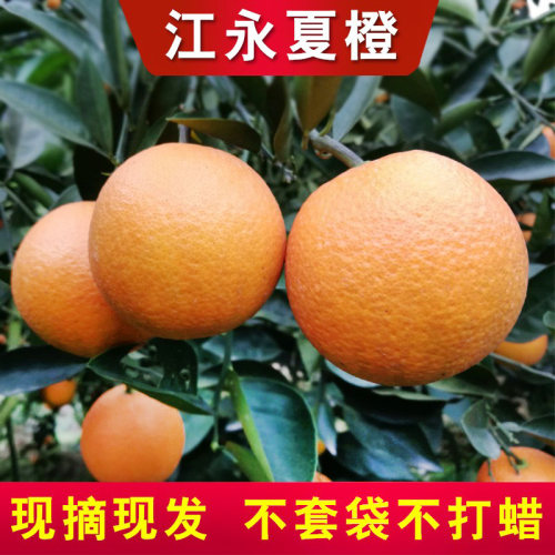 酸甜可口，现摘现发，坏果包赔