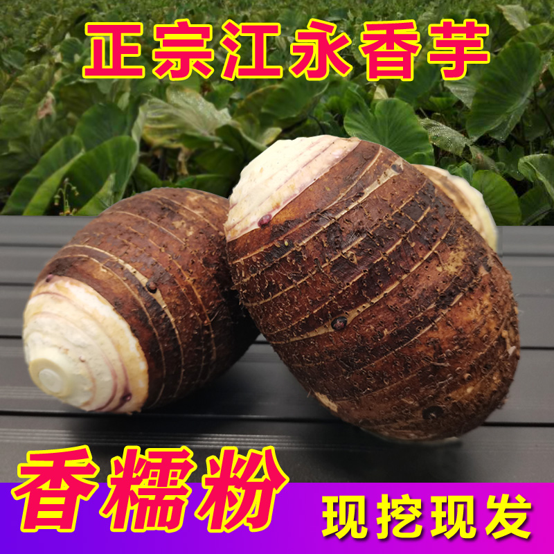 湖南特产正宗江永香芋新鲜槟榔芋现挖粉糯芋头农家自种5斤装包邮