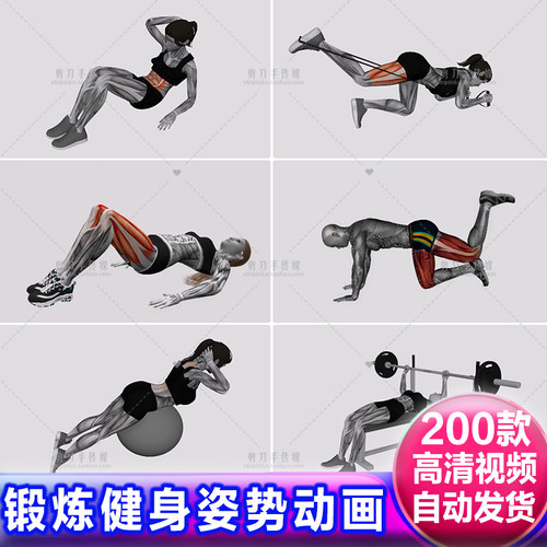 运动器械肌肉锻炼燃脂健身姿势动作演示3D动画模型4K高清视频素材