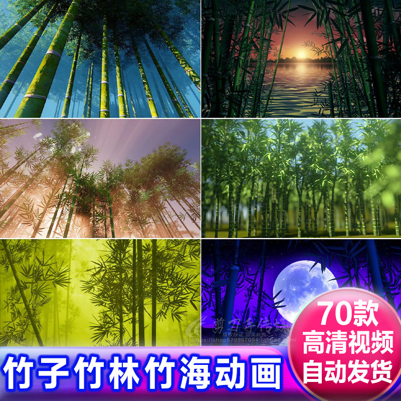 绿色竹子林竹海大自然穿梭LED大屏背景 高清民族舞蹈台视频VJ素材