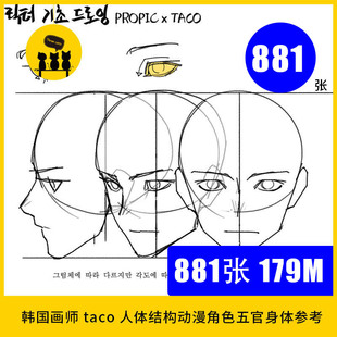 韩国画师taco教程人体身体结构基础漫画ACG自学习临摹素材