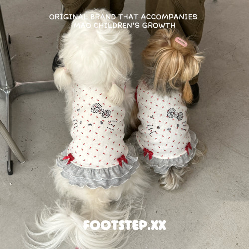 靴靴FOOTSYEP｜春秋猫咪狗狗衣服条纹毛衣泰迪比熊约克夏秋天可爱