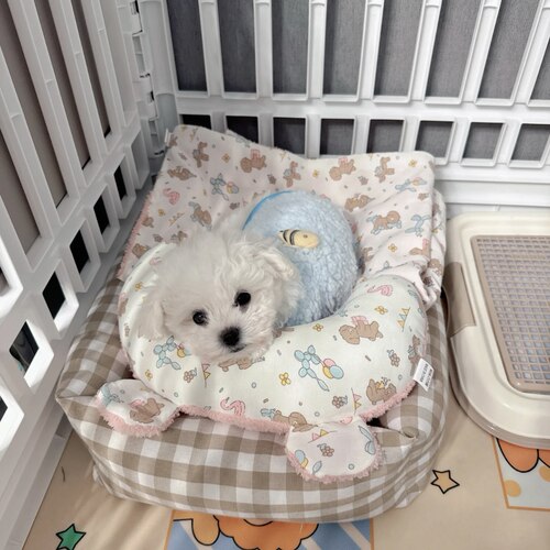 狗狗睡觉保暖空调被子