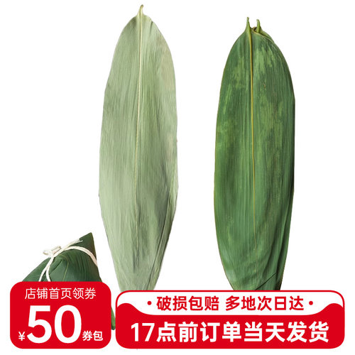 粽子叶干粽叶新鲜粽叶100片送绳