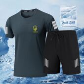 五分裤 冰丝套装 短袖 速干弹力薄款 全套男休闲T恤两件套男潮 男夏季