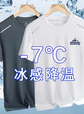 夏季轻奢休闲圆领宽松冰丝网眼短袖速干透气男士运动冰爽t恤百搭