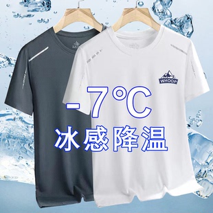 夏季轻奢休闲圆领宽松冰丝网眼短袖速干透气男士运动冰爽t恤百搭