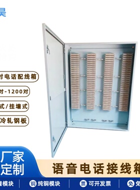 定制600对800对900对1000对1200对语音电话接线箱配线箱挂墙VDF箱