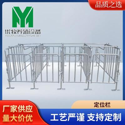 母猪定位栏牢固可靠肥猪围栏保育栏母猪限位栏定位栏养猪设备