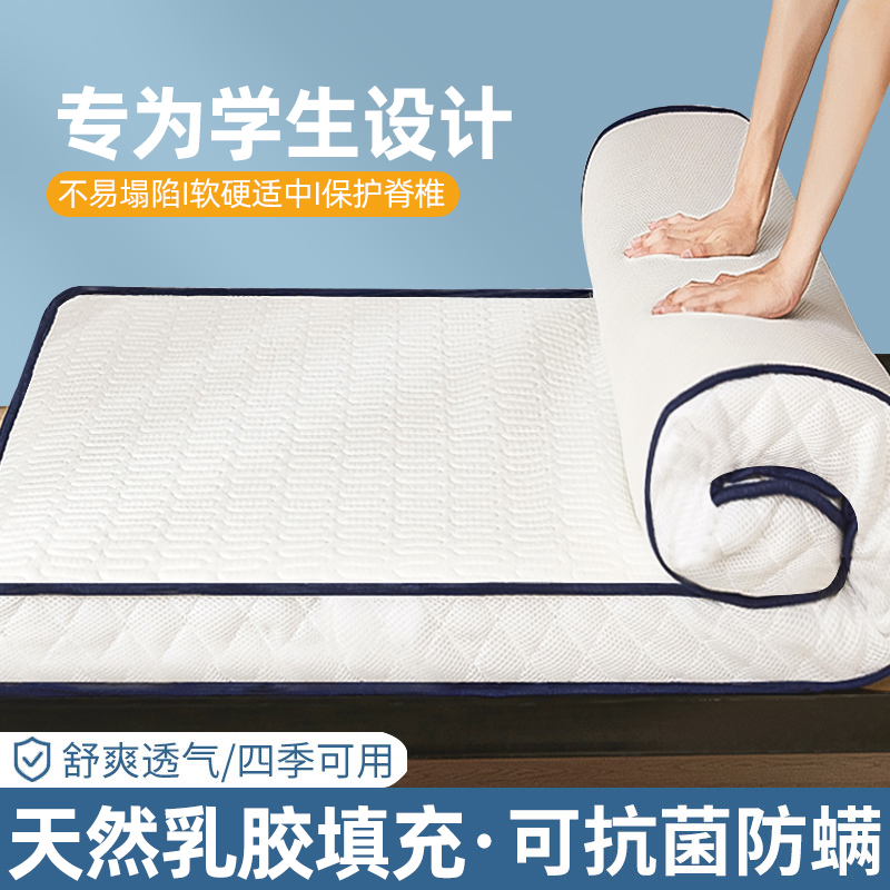 乳胶床垫软垫家用硬垫榻榻米v垫子宿舍学生单人海绵垫床褥垫被冬
