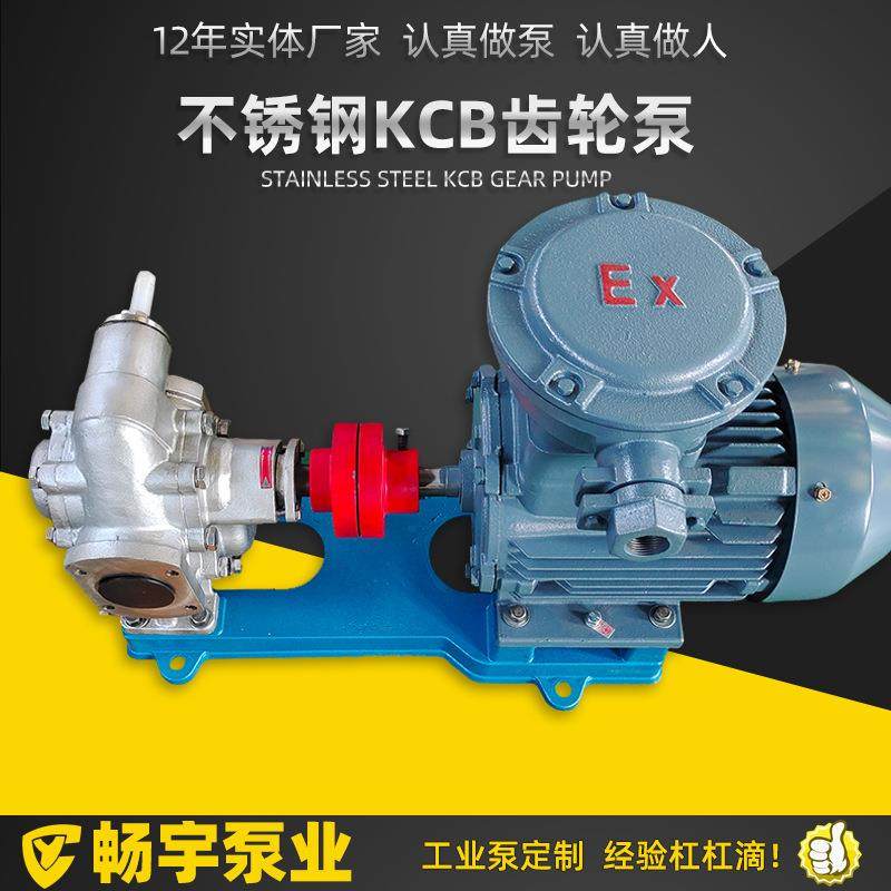 不锈钢齿轮泵kcb200输送食用油腐蚀性液体304不锈钢齿轮泵,五金/工具,其它泵类型,淘宝优惠券,粉丝福利购,淘宝优惠卷
