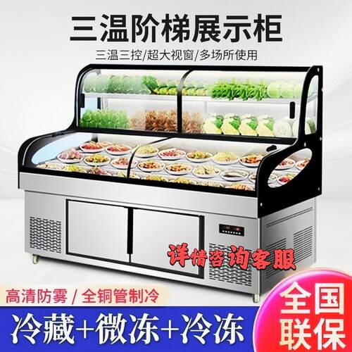 鼎盛三温五六阶梯海鲜冰台展示柜烧烤炸串冷藏冷冻饭店明档点菜柜