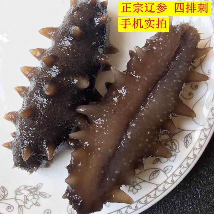 大连即食海参 深海底播野生海渗辽参单个装冷冻水产礼盒刺参500g