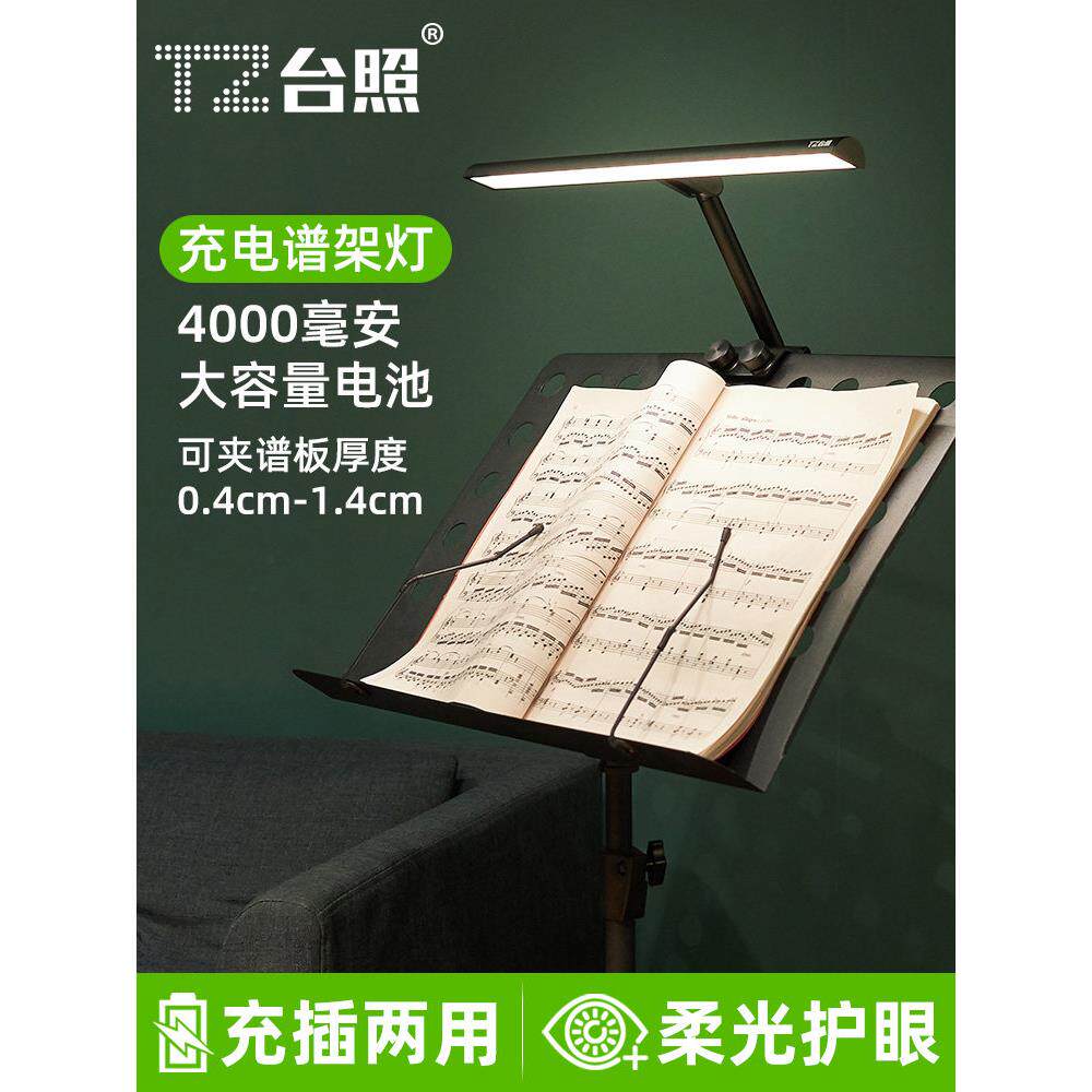 台湾音乐支架灯，音乐支架灯，音乐支架灯，护眼灯，吉他，古筝，