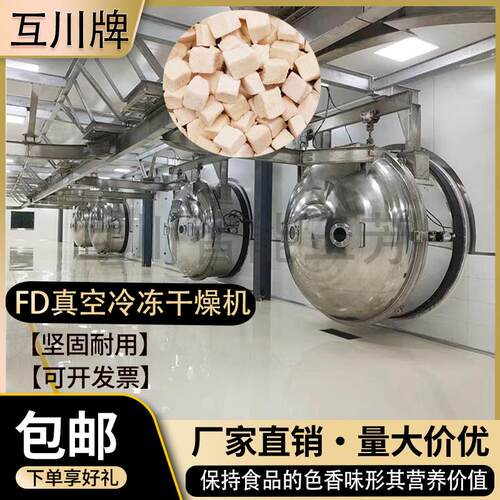 食品级FD真空冻干青豆粒冷冻干燥机 商用毛豆仁低温冻干机设备